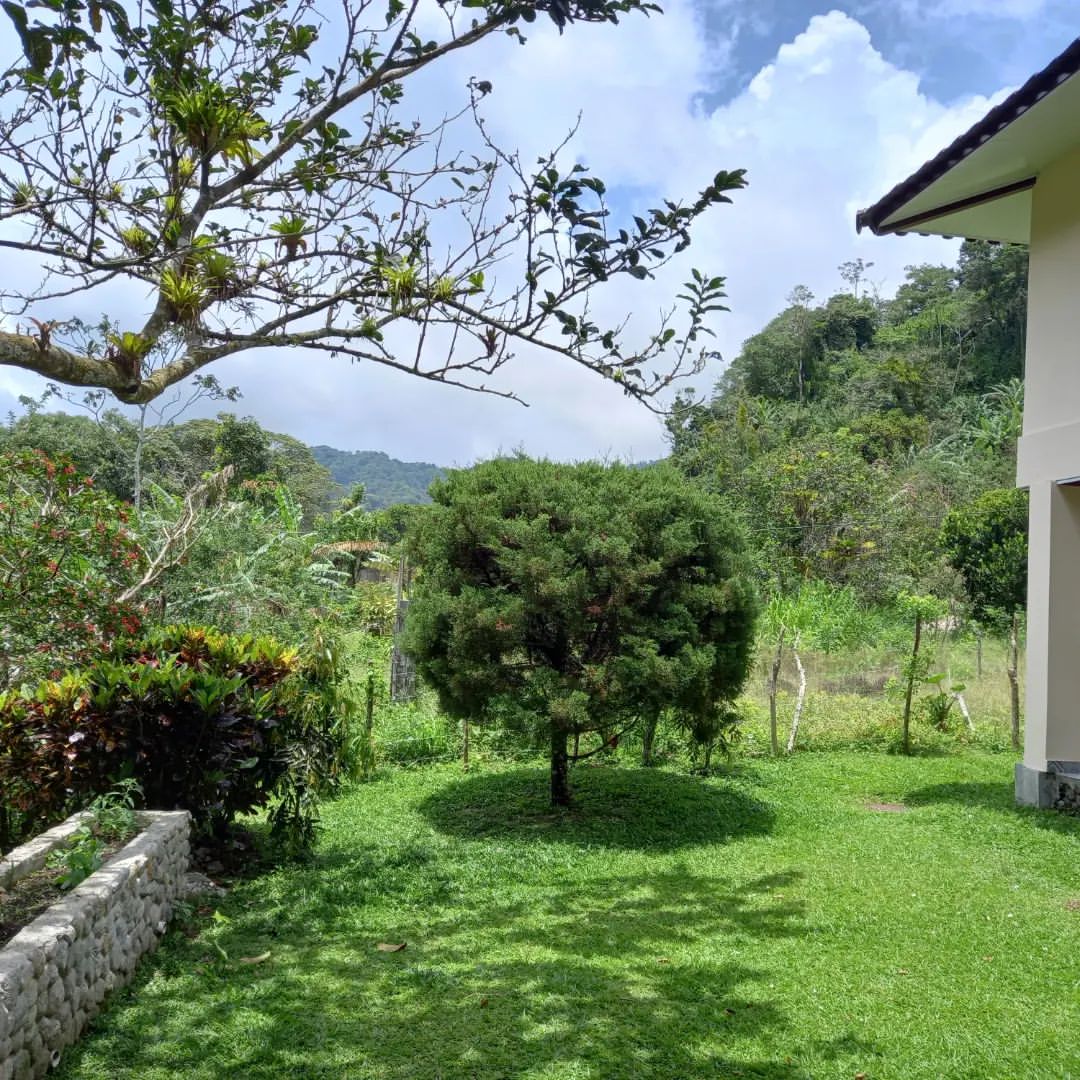 Estadía de 3 días y 2 noches hasta para 10 Personas en El Valle de Antón desde $150 en Cabaña Kundalini - Image 3