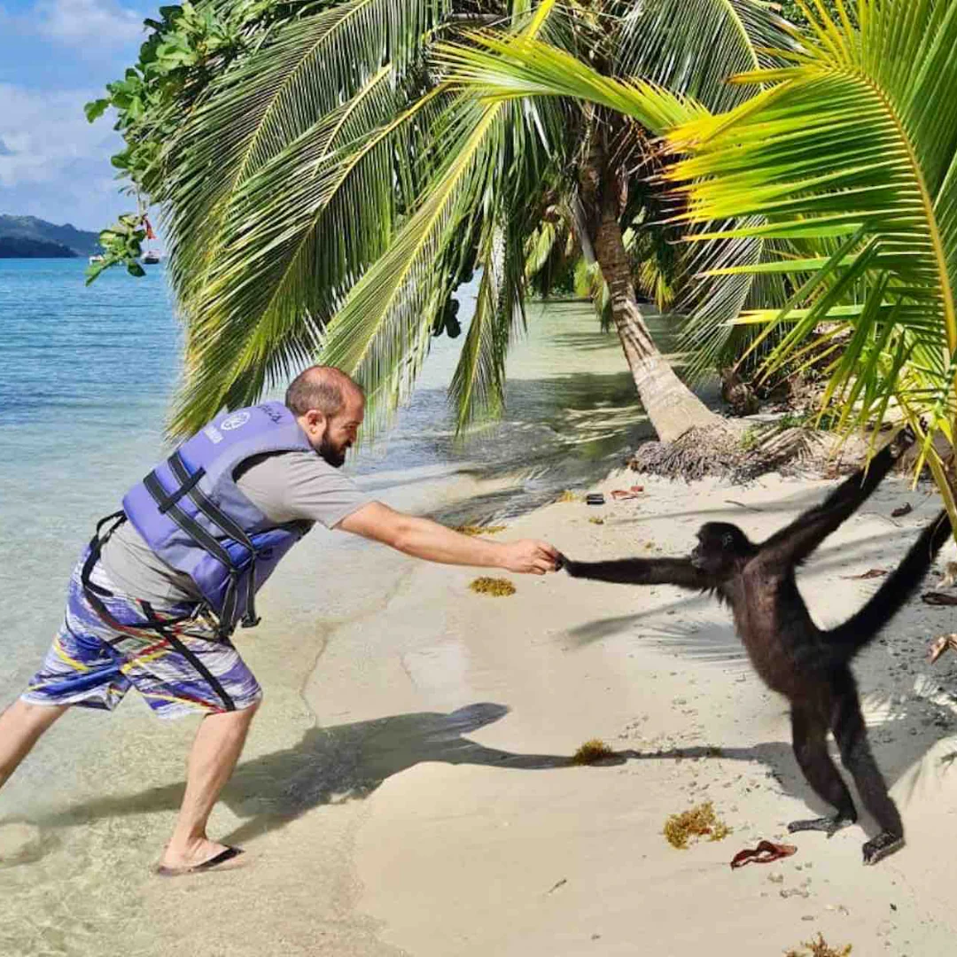 Pasadía en Isla Mamey + Tour Completo por $15 con Ally's Tours - Image 5