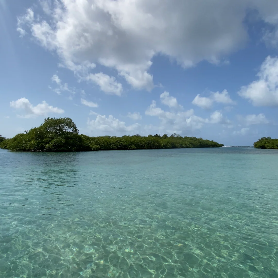 Tour Completo a Venas Azules + Pasadía en Playa Blanca por $15 en Ally's Tours - Image 4