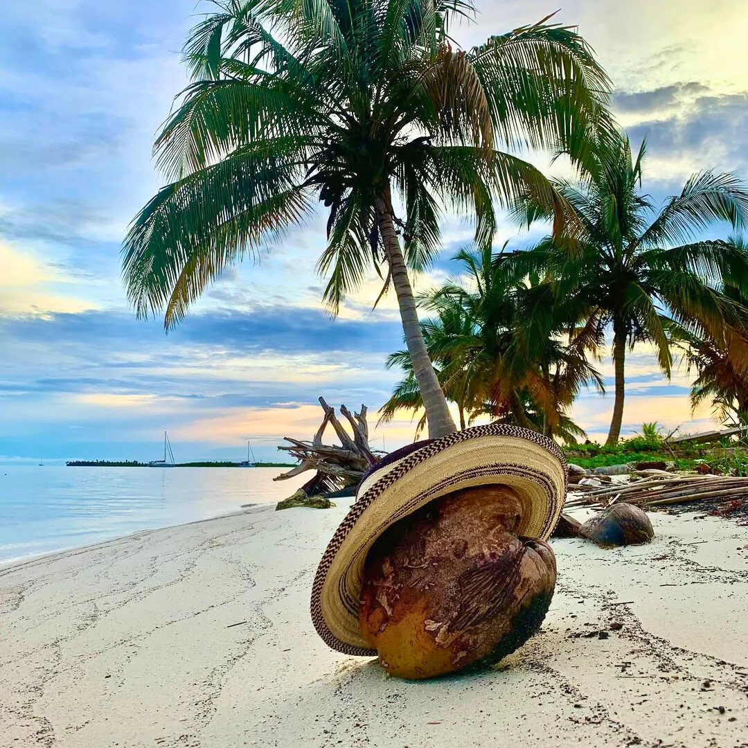 Tour de Islas en San Blas + Almuerzo con Bebida + Snorkel por solo $36 con San Blas Trips - Image 3